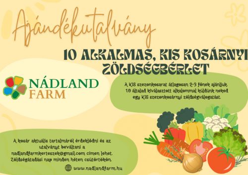 10 alkalmas KIS kosárnyi zöldségbérlet