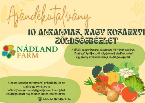 10 alkalmas NAGY kosárnyi zöldségbérlet ajándékutalvány